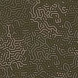 Brain-Maze-Camo-24