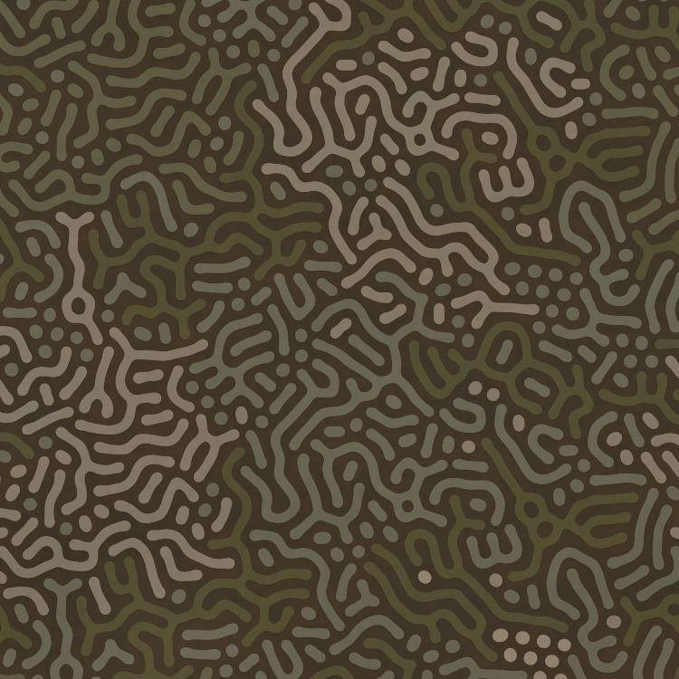 Brain Maze Camouflage 24