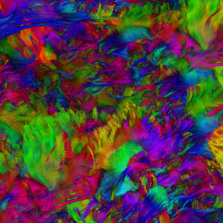 Brain Neurons 22