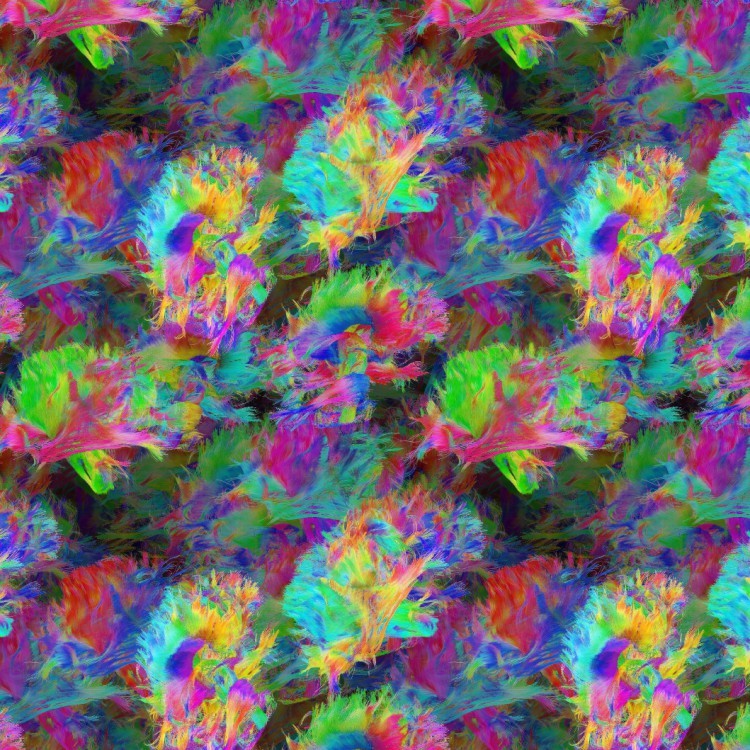 Brain Neurons 24