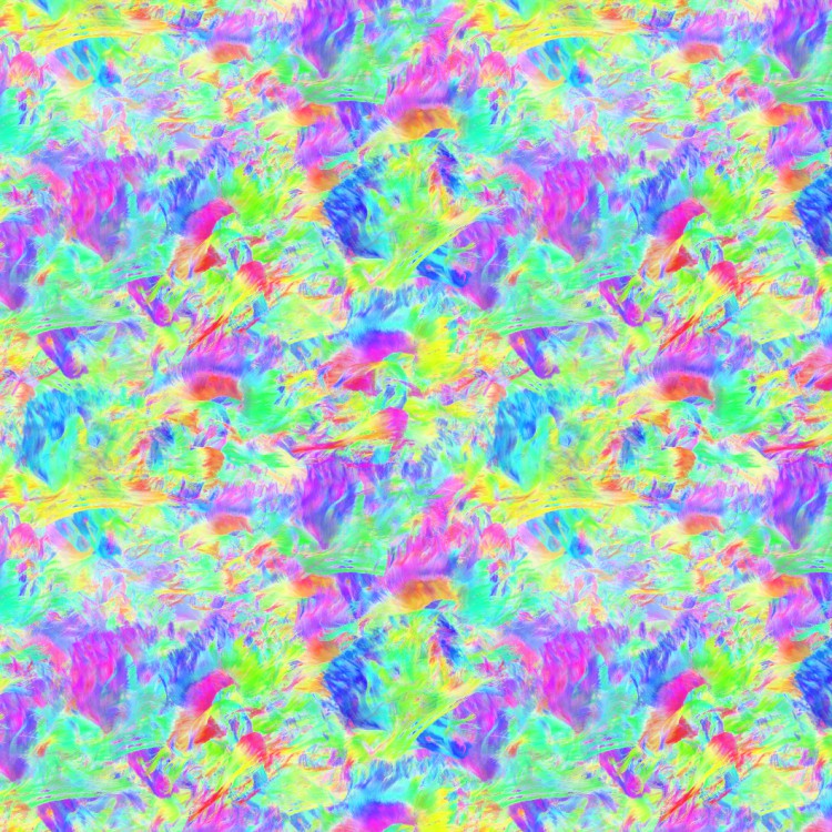 Brain Neurons 28
