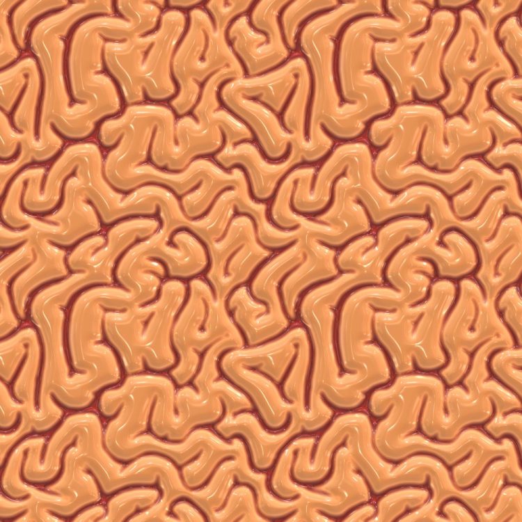 Brains 24