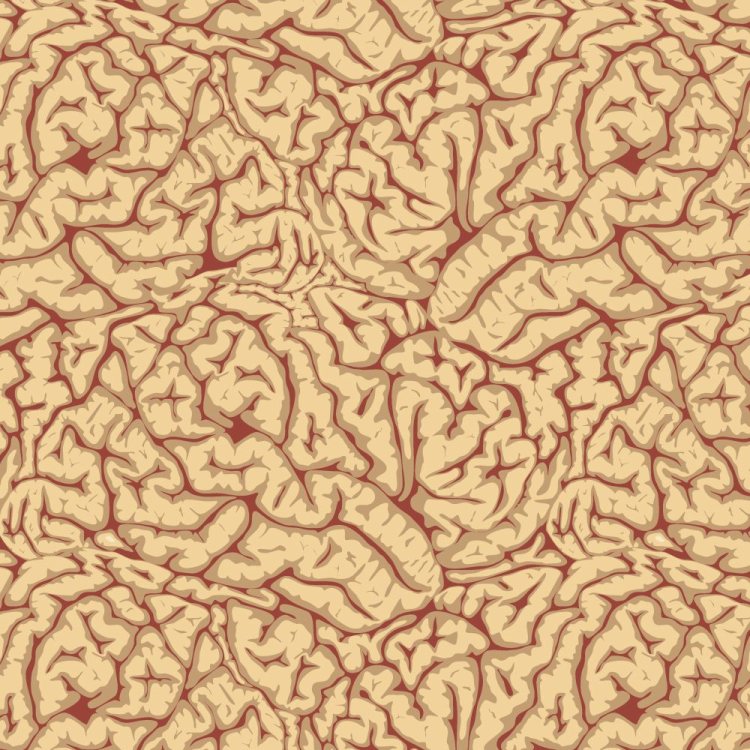 Brains 26