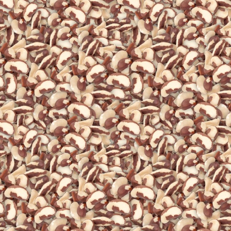 Brazil Nuts