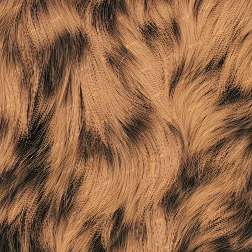 Brindle Dog Fur 43