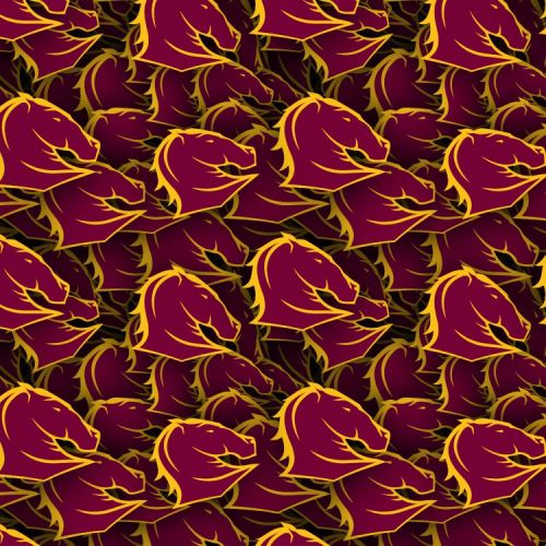 Brisbane Broncos