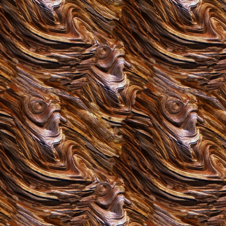 BristleCone Pine Bark 22
