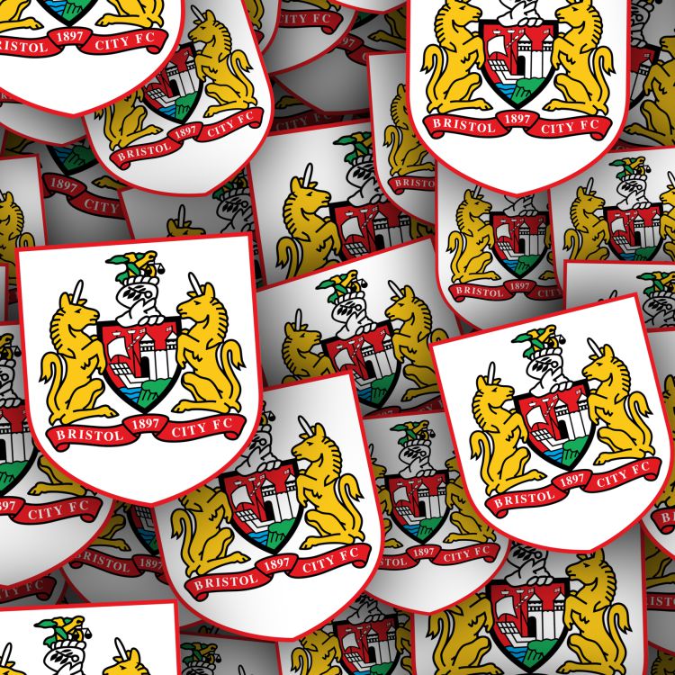 Bristol City FC