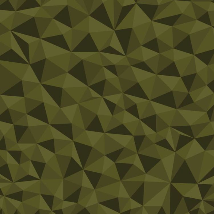 Broken Polygons 23