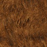 Brown-Grizzly-Bear-Fur-22-1