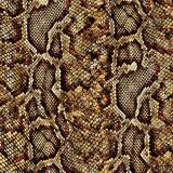 Brown-Python-Snake-Skin.jpg