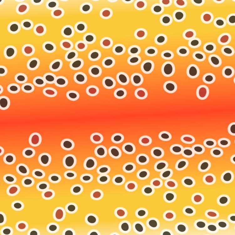 Rainbow Trout Scales 25