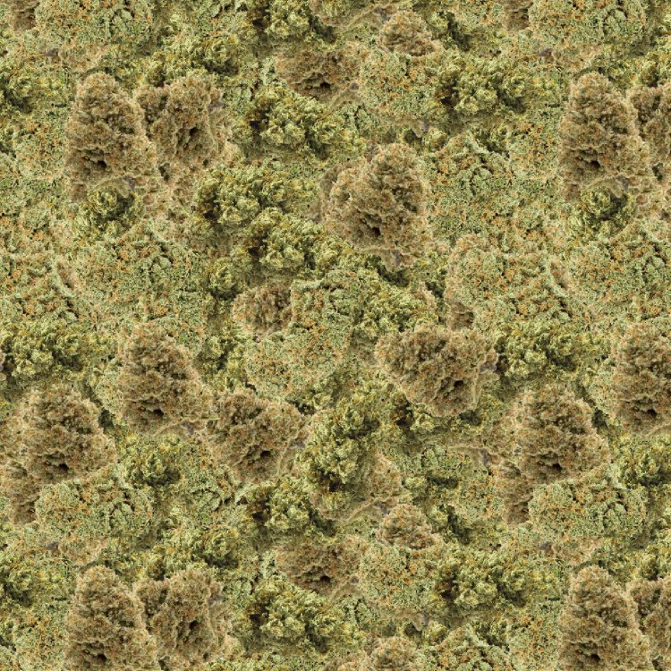 Bud 22 Camouflage
