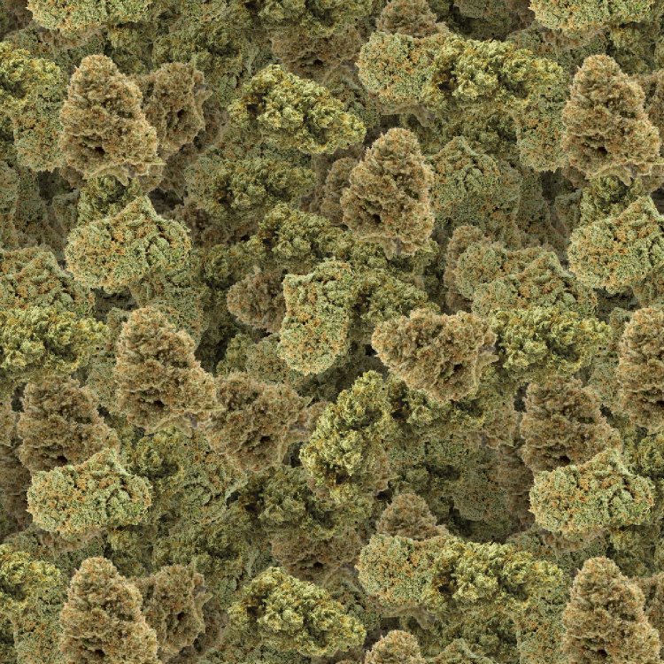 Bud 23 Camouflage