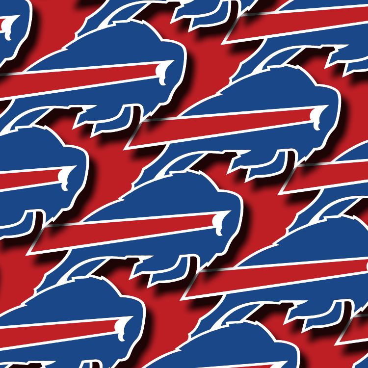 Buffalo Bills Logo 24