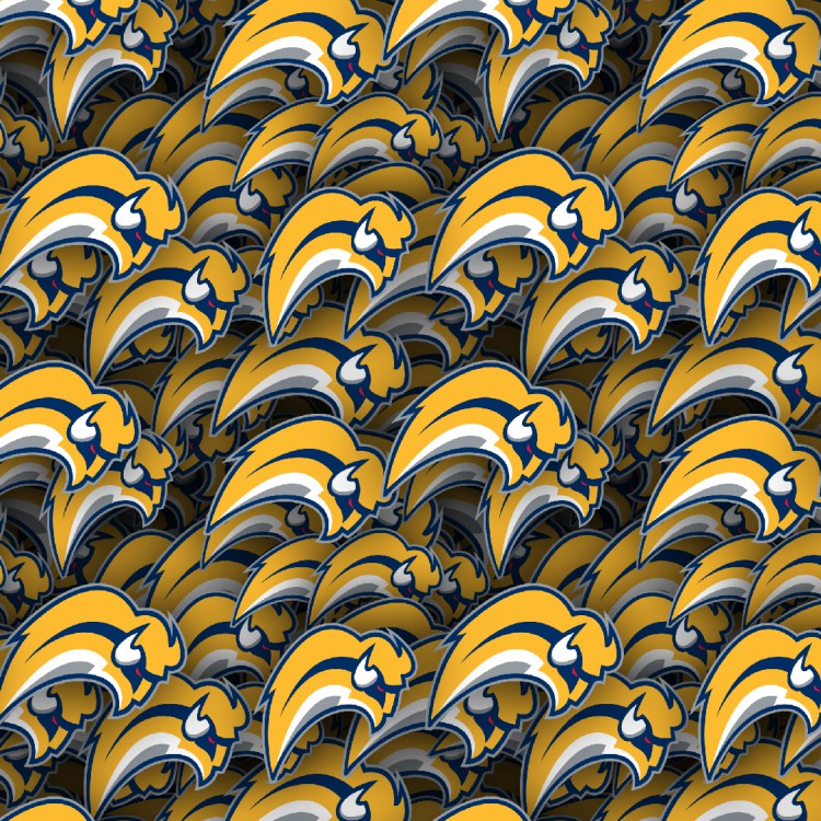 Buffalo Sabres 22