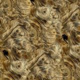 Burl-Driftwood.jpg
