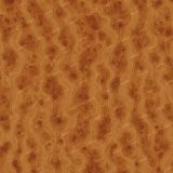 Burl-Woodgrain-54