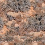 Bush-Canyon-Camo-thumb