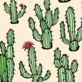 Cactus-46
