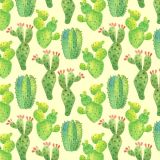 Cactus-Watercolor-22.jpg