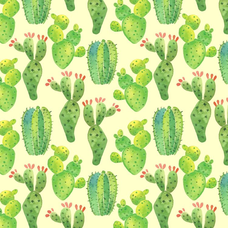 Cactus Watercolor 22