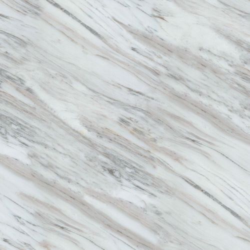 Calcutta Marble 23