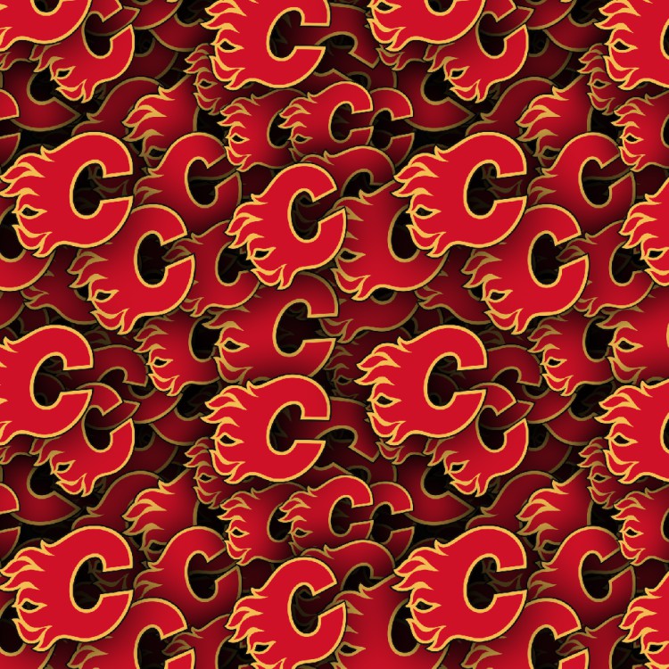 Calgary Flames 22