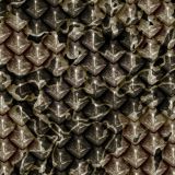 Camo-Scales-26