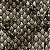 Camo-Scales-34