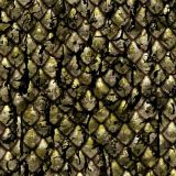 Camo-Scales-36