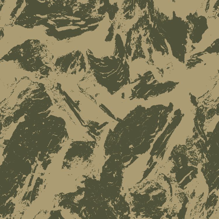Camouflage Swift