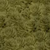 Camo-of-the-Roses