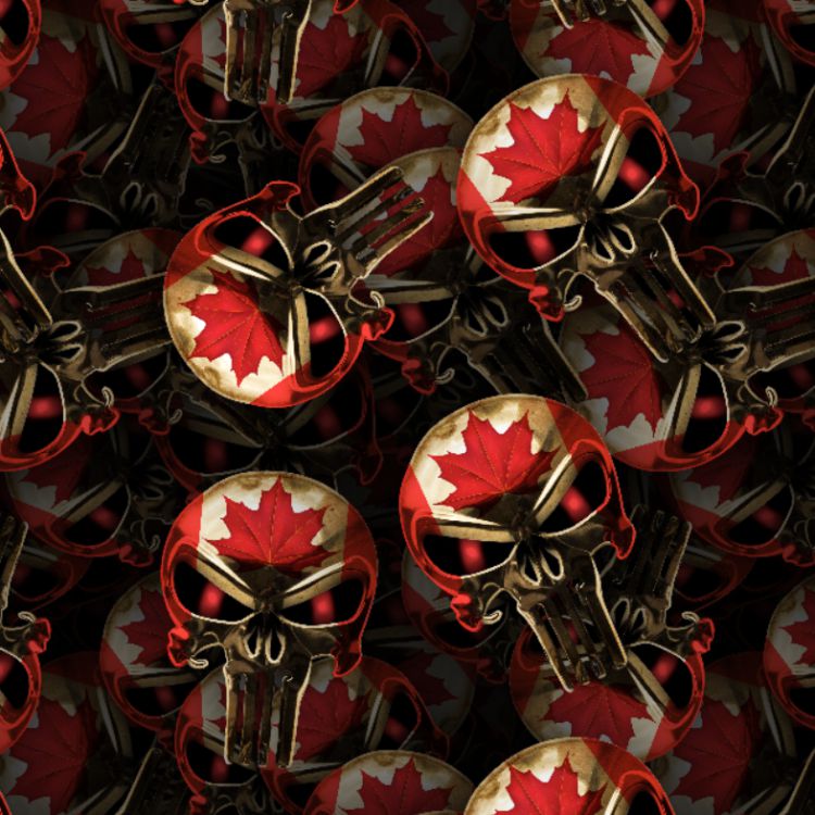 Canadian Punisher 22