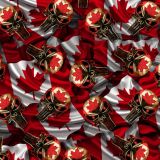 Canadian-Punisher-26