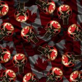 Canadian-Punisher-27