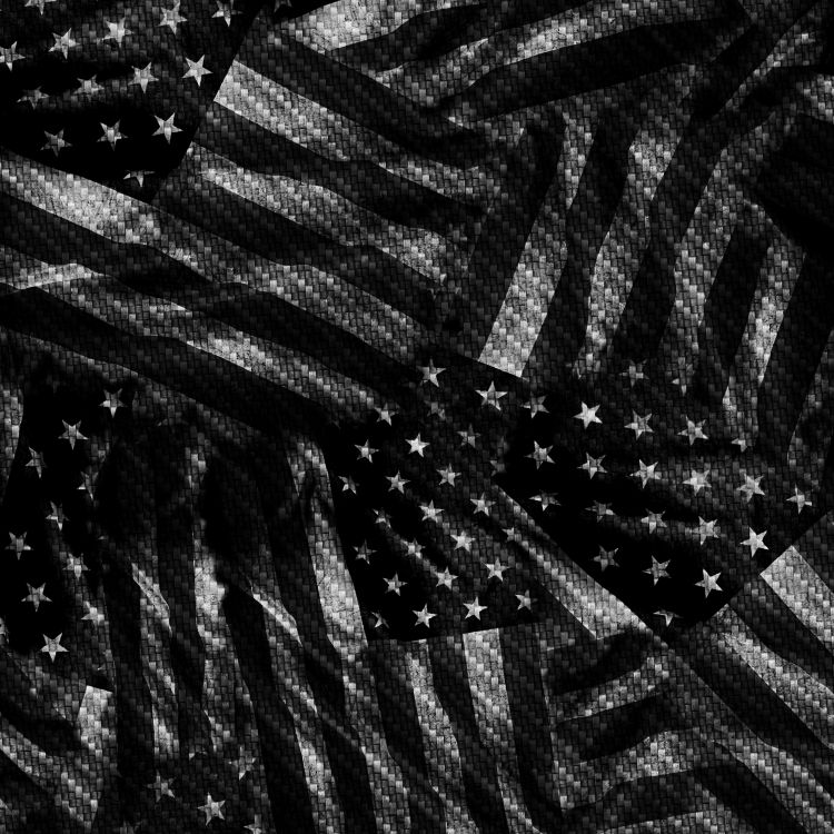 Carbon Fiber with US Flags 24