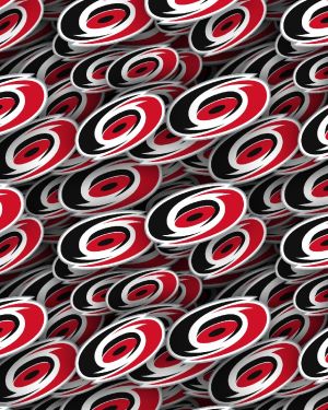 Carolina Hurricanes 22