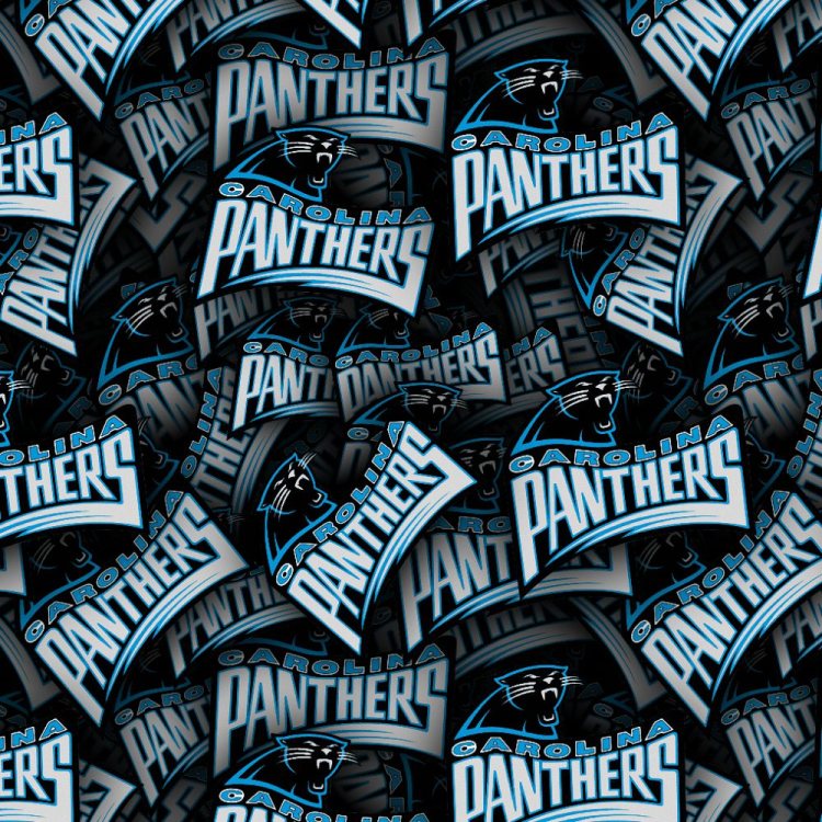 Carolina Panthers 22