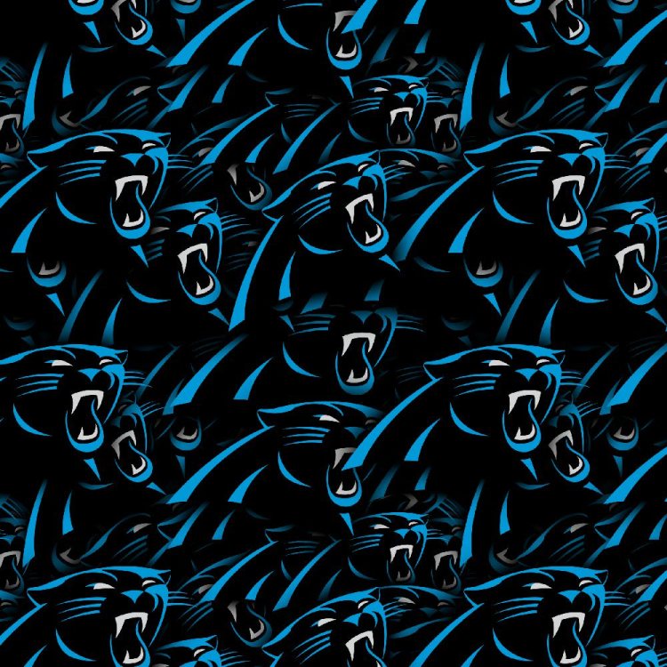 Carolina Panthers 23