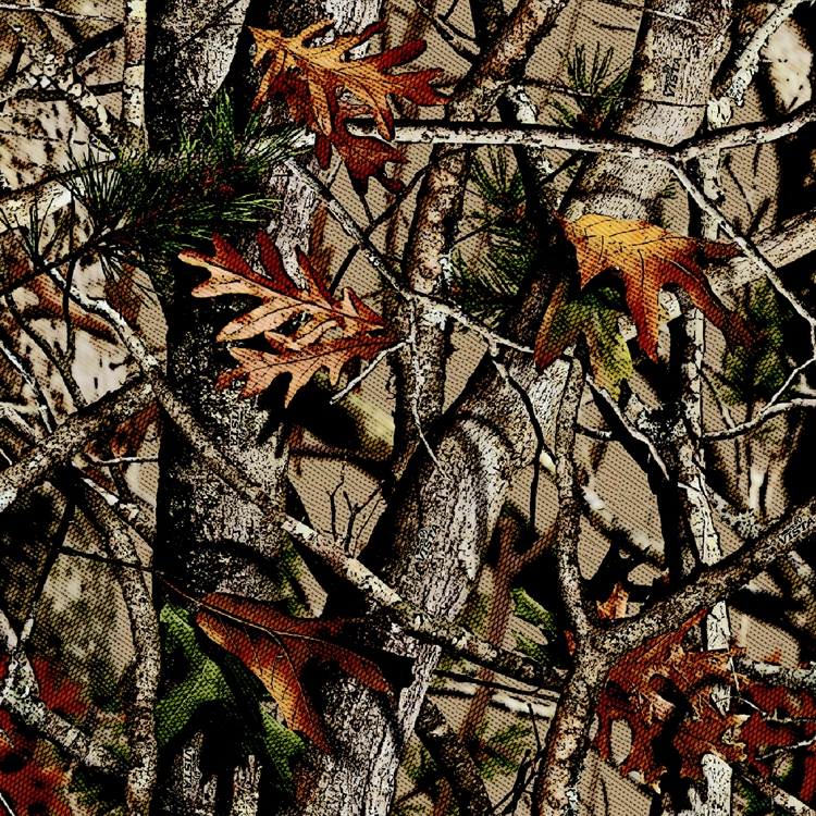 Cartoon Camouflage