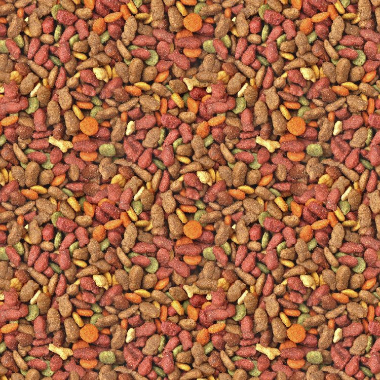 Cat Food