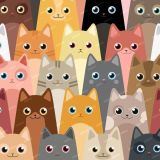 Cats-26