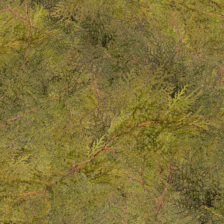 Cedar Branches 22 Camouflage