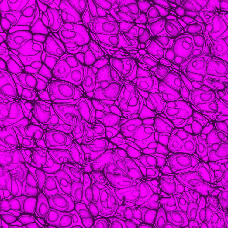 Cell Level 18