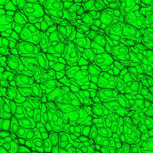 Cell Level 19