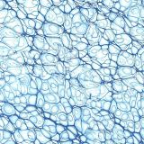 Cell-Level-22-thumb.jpg
