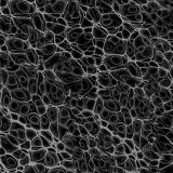 Cell-Level-24-thumb.jpg