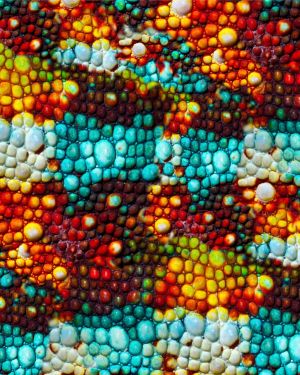 Chameleon Skin 25