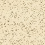 Champaigne-Bubbles-23.jpg